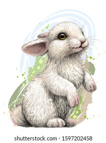 Rabbit. Color, artistic, graphic image of a rabbit on a white background in watercolor style.