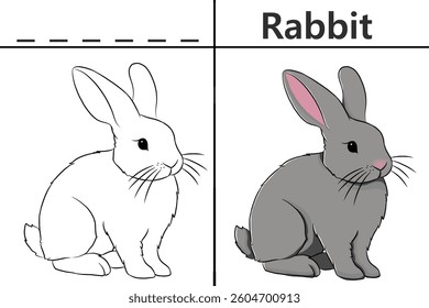 Rabbit coloring pages for kids and learn to recognize letters, animal recognition card media for various games in early childhood learning