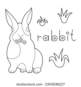 A Rabbit, colouring book for kids, vector illustration, Animals