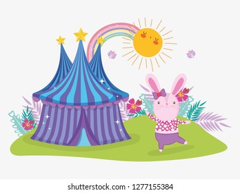 rabbit costume with circus big top and sun