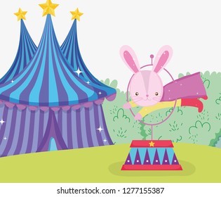 rabbit costume jumping hoop and circus big top