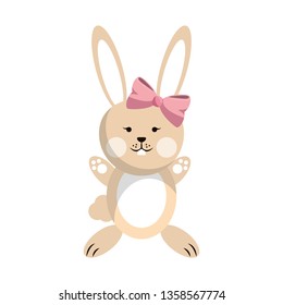 Rabbit cute animal