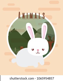 Rabbit cute animal card