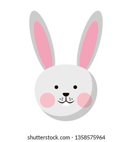 Rabbit cute animal head