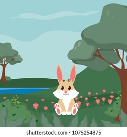 Rabbit cute animals cartoons