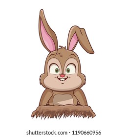 Rabbit cute cartoon
