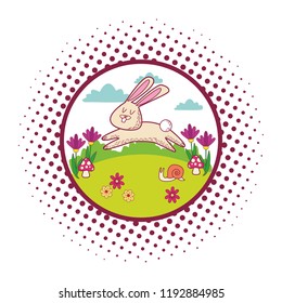rabbit cute cartoon