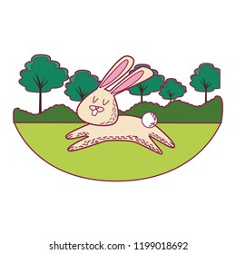 rabbit cute cartoon