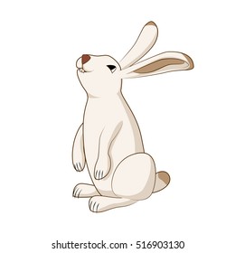 Rabbit, cute hare, bunny isolated vector illustration