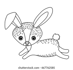 rabbit cute wildlife icon vector isolated graphic
