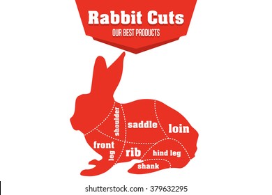 Rabbit cuts infographic set of meat parts, vector illustration