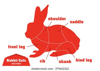 Rabbit cuts infographic set of meat parts, vector illustration