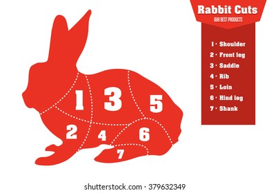Rabbit cuts infographic set of meat parts, vector illustration