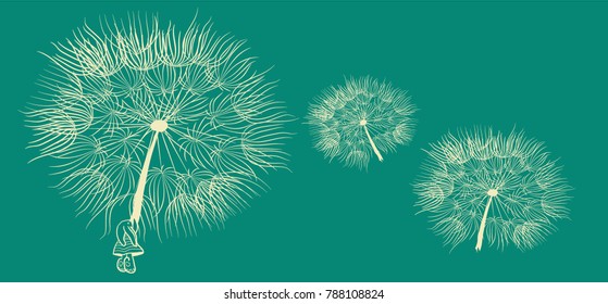 Rabbit and Dandelion Vector illustration. White and Turquoise Outline design.