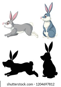 Rabbit in diffrent design illustration