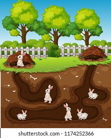 Rabbit digging the hole illustration