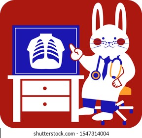 Rabbit doctor showing X-ray and explaining.