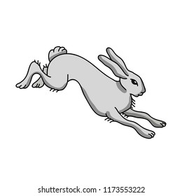 rabbit doodle illustration