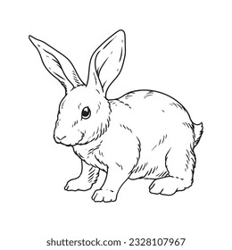 Rabbit drawing or adorable bunny