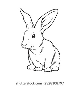 Rabbit drawing or adorable bunny