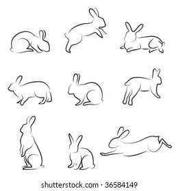 rabbit drawing set