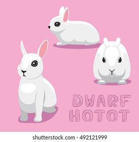 Rabbit Dwarf Hotot Cartoon Vector Illustration