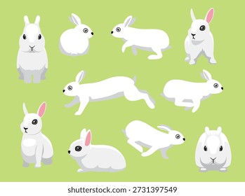 Rabbit Dwarf Hotot White Various Poses Cartoon Character