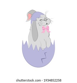 Rabbit in easter egg vector illustration on the white background.