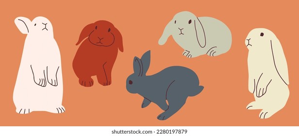 rabbit easter spring element hand drawn illustration