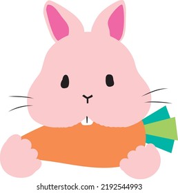 a rabbit is eating a carrot.