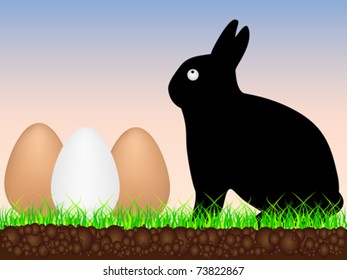 rabbit with eggs in front