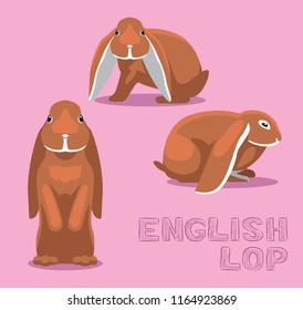 Rabbit English Lop Cartoon Vector Illustration