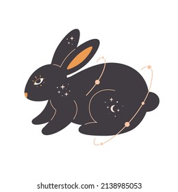Rabbit with esoteric, mystic, astrology and magician elements. Year of the Rabbit. Hand drawn vector illustration