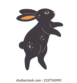 Rabbit with esoteric, mystic, magician elements. Year of the Rabbit. Hand drawn vector illustration