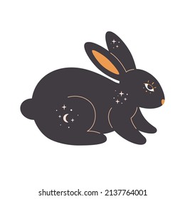 Rabbit with esoteric, mystic, magician elements. Year of the Rabbit. Hand drawn vector illustration