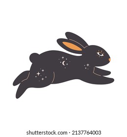 Rabbit with esoteric, mystic, magician elements. Year of the Rabbit. Hand drawn vector illustration