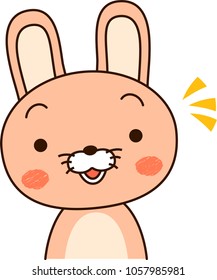 Rabbit expression notice