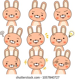 Rabbit expression set