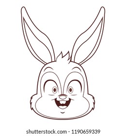 Rabbit face cartoon