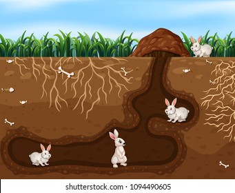 Rabbit Family Living in the Hole illustration