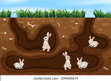 Rabbit Family Living in the Hole illustration