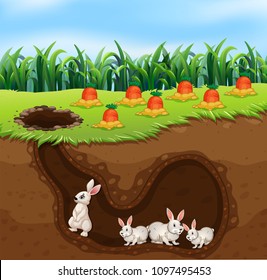 A Rabbit Family Living in Hole illustration