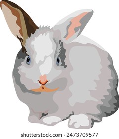 Rabbit Farm Pet Mammal Animal Vector