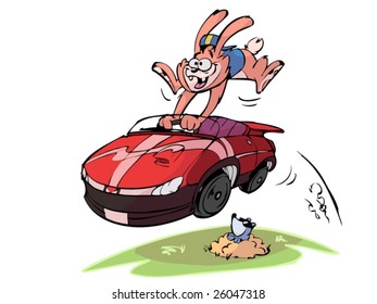 rabbit in fast car