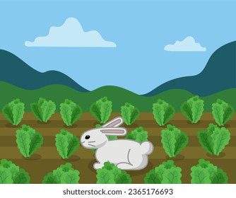 rabbit in a field of lettuce, funny cartoon style, vector illustration