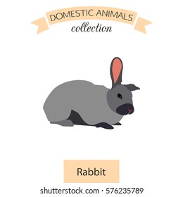 Rabbit flat icon isolated on white background. Domestic animals collection