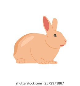 Rabbit Flat Icon, Vector illustration