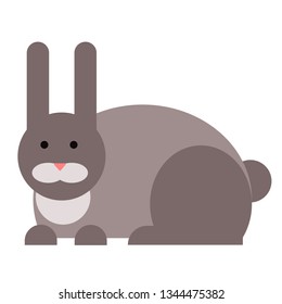 Rabbit flat illustration on white