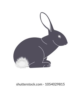 Rabbit With A Fluffy Tail Vector Icon.