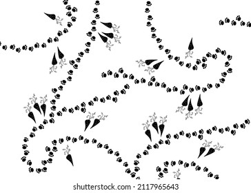  Rabbit foot print steps path and carrot vector doodle hand drawn background.